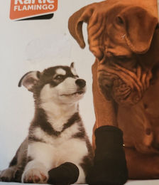 Produktbild von Karlie Pfotenschutz Pfotenschutz-Schuh