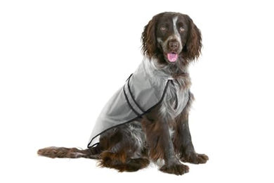 KARLIE Regenmantel Classic für Hunde transparent – Bild 1 von 6