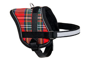 Karlie Teeny Weeny Hunde-Powergeschirr rot-weiß – Bild 1 von 4