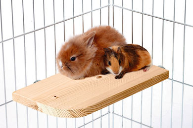 Karlie Wonderland Sitzbrett aus Naturholz – Bild 1 von 3