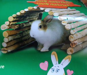 Produktbild von Karlie Wonderland Weidenbrücke