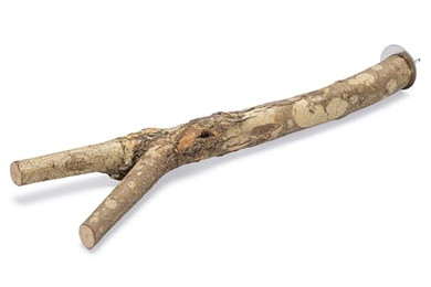 Produktbild von Karlie Y Sitzstange aus Naturholz - 30 cm