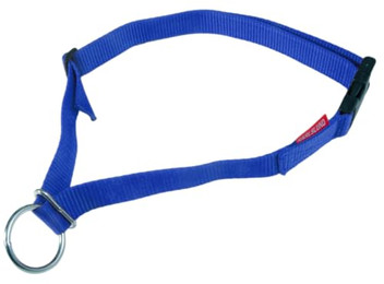 Produktbild von Karlslund Halsband Neckband Blue