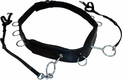 Produktbild von Karlslund Longiergurt Lunging Girth