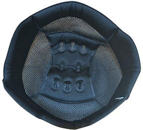 Produktbild von KASK Dogma Inner Padding Vorgängermodell