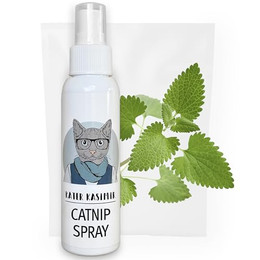 Produktbild von Kater Kasimir Katzenminze Spray XL - 100 ml