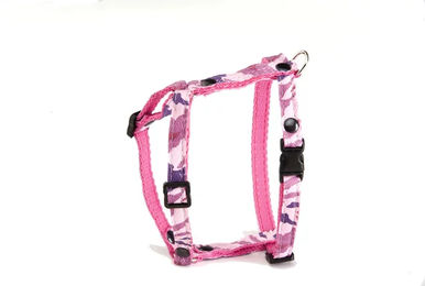 Produktbild von Katzengeschirr Martin Sellier