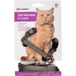 Katzengeschirr und Leine grau – Bild 1 von 3