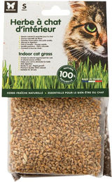 Produktbild von Katzengras zum Sähen Martin Sellier