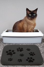 Produktbild von Katzenstreu-Matte 45x60 cm aus PVC und Polyester