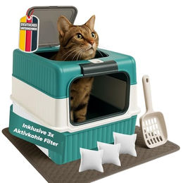 Katzentoilette mit Deckel und Aktivkohlefilter Türkis – Bild 1 von 7