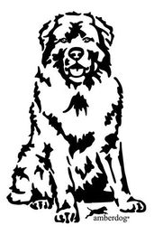 Produktbild von Kaukasier Grafiklizenz