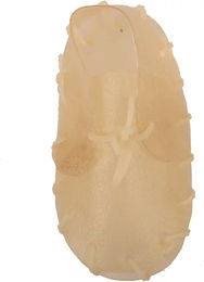 Produktbild von Kauschuh für Hunde Duvoplus Bone