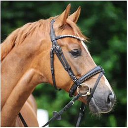 Produktbild von Kavalkade Cortica vegane gummierte Zügel aus Kork