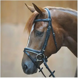 Kavalkade Englisch-kombinierte Trense Quentin – Bild 1 von 4