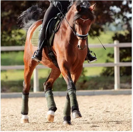 Produktbild von Kavalkade Flanelle für Pferd Klettverschluss Klimatex