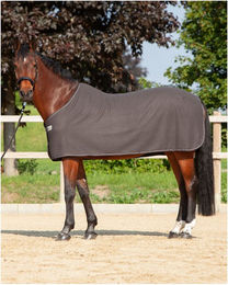 Produktbild von Kavalkade Fleece-Abschwitzdecke Ecoline 165cm