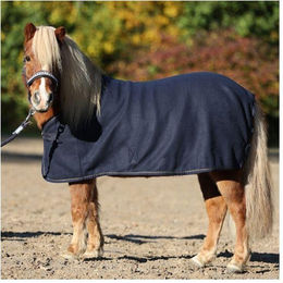Kavalkade Fleece-Abschwitzdecke Shetty Ecoline – Bild 1 von 3