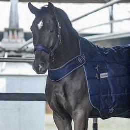 Kavalkade Halifax 2in1 Stall- und Führanlagendecke 200 g - 200 g – Bild 1 von 9