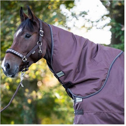 Produktbild von Kavalkade Halsteil Montreal 100g - 100 g