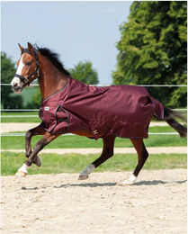 Produktbild von Kavalkade Outdoordecke "Alaska IV" 100g bordeaux - 145 cm