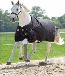 Produktbild von Kavalkade Outdoordecke "Alaska IV" 100g schwarz - 145 cm