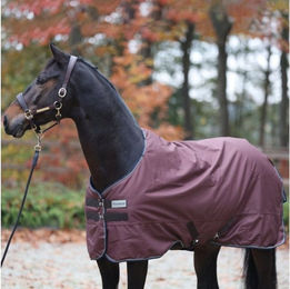 Produktbild von Kavalkade Outdoordecke "Montreal" 100g braun - 155 cm