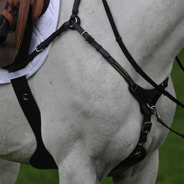 Produktbild von Kavalkade Sattelgurt SecureX mit Vorderzeug