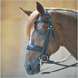 Produktbild von Kavalkade Schwedisch-kombinierte Kandare Dacira