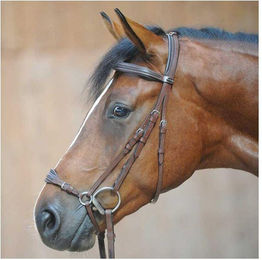 Kavalkade Trense Levana hannoveranisches Reithalfter – Bild 1 von 3