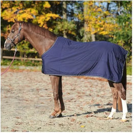 Kavalkade Unterdecke 150g – Bild 1 von 4