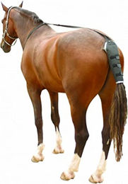 Produktbild von Kentaur Schweifschoner