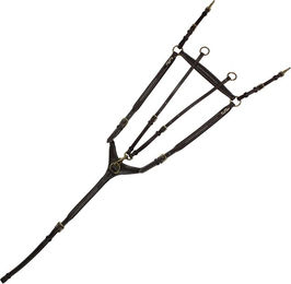 Produktbild von KenTaur Vorderzeug Arras