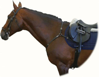 Produktbild von KenTaur Vorderzeug Mons