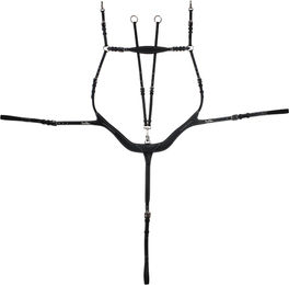 Produktbild von Kentaur Vorderzeug TORINO