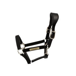 Kentucky Anatomisches Halfter Schwarz Nylon Größe Cob – Bild 1 von 6