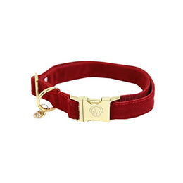 Kentucky Dogwear Hundehalsband Corduroy Rot Größe L – Bild 1 von 9