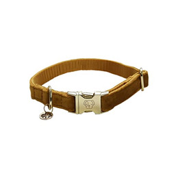Produktbild von Kentucky Dogwear Hundehalsband Samt Senf XL
