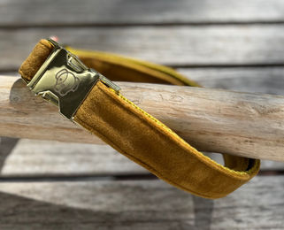 Kentucky Dogwear Hundehalsband Velvet senfgelb L – Bild 1 von 9