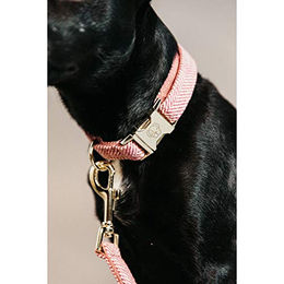 Kentucky Dogwear Hundehalsband Wolle Hellrosa Größe XS – Bild 1 von 3