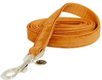 Produktbild von Kentucky Dogwear Hundeleine Velvet 120 cm orange - 120 cm