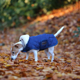 Kentucky Dogwear Hundemantel navy – Bild 1 von 8