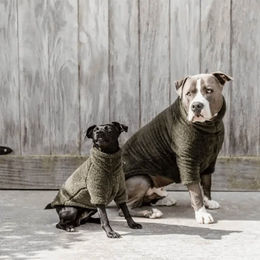 Kentucky Dogwear Hundepullover Teddy Fleece Tannengrün – Bild 1 von 4