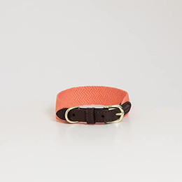 Produktbild von Kentucky Dogwear Jacquard Hundehalsband Neon Orange Größe XL