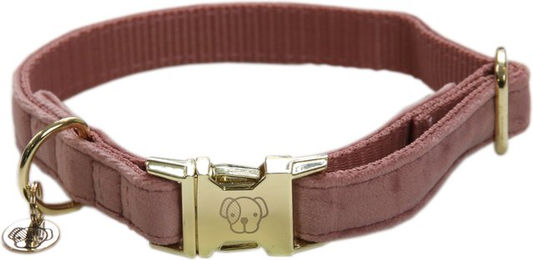 Kentucky Dogwear Velvet Hundehalsband Rose XXS – Bild 1 von 9