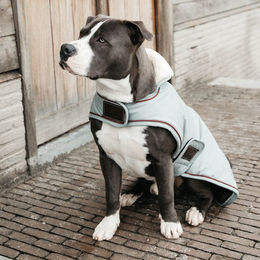 Kentucky Dogwear wasserdichter Hundemantel 160g – Bild 1 von 8