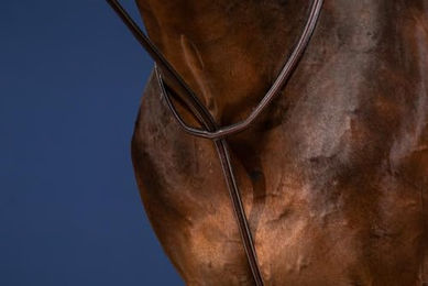 Produktbild von Kentucky Dy'on Standing Martingale Braun Größe Full