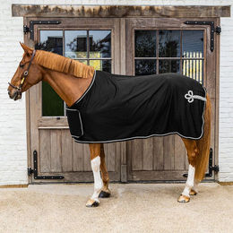 Produktbild von Kentucky Horsewear Abschwitzdecke für Sponsoren