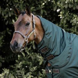 Produktbild von Kentucky Horsewear All Weather Halsteil 150g - dunkelgrün