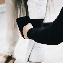 Kentucky Horsewear Bandagenunterlagen Absorb 45 x 40 cm 4er Set – Bild 1 von 4